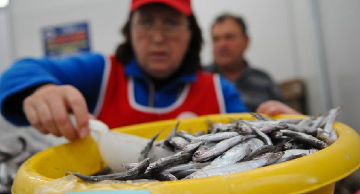 Sale of Black Sea fish: photo by Elena Sineok, the "Yuga.ru" outlet Sale of Black Sea fish: photo by Elena Sineok, the "Yuga.ru" outlet