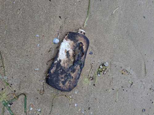 A bottle in fuel oil thrown ashore. Photo by Caucasian Knot correspondent