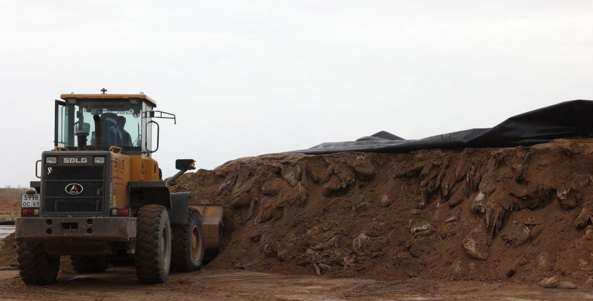 Landfill in Semikarakorsk district. Photo: https://www.donland.ru/ Landfill in Semikarakorsk district. Photo: https://www.donland.ru/