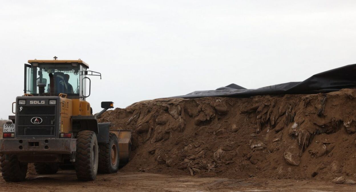 Landfill in Semikarakorsk district. Photo: https://www.donland.ru/ Landfill in Semikarakorsk district. Photo: https://www.donland.ru/