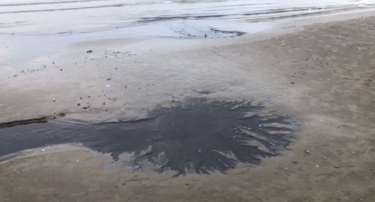 Pollution of the Berezka beach in Makhachkala. A video frame from the Chernovik telegram channel https://t.me/chernovik/88945