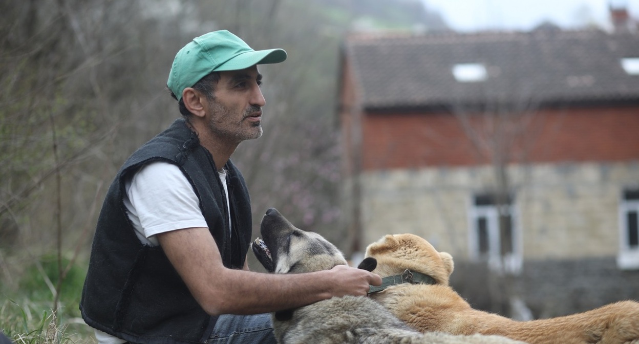 Elkhan Mirzoyev. Photo: https://www.meydan.tv/ru/article/kak-zhivetsya-brodyachim-sobakam-v-azerbajdzhane/