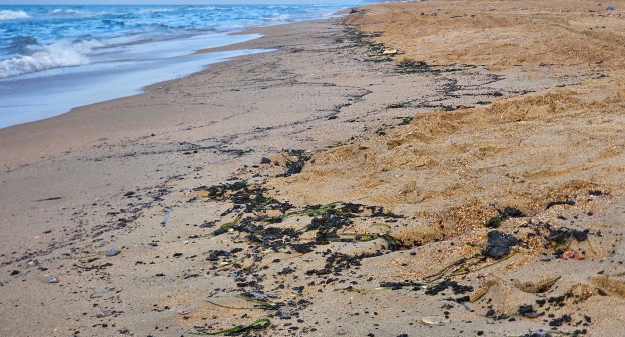 Fuel oil spills on the shore. Anapa, October 24, 2025. Photo by Yuri Ozarovsky https://t.me/MoreOz/108604