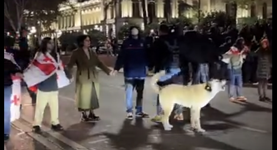 Protesters on the roadway of Rustaveli Avenue, November 3, 2025. Still from Publika video
