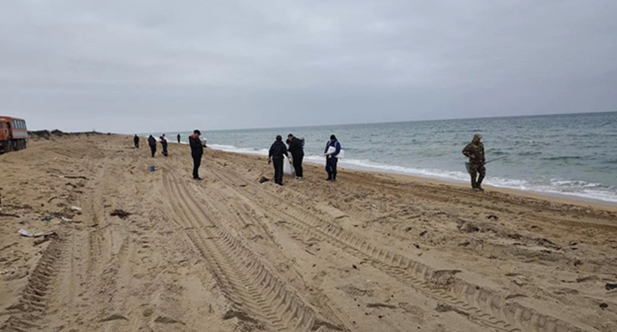 Beach in the Temryuk district. November 16, 2025. Photo: https://t.me/opershtab23/14441