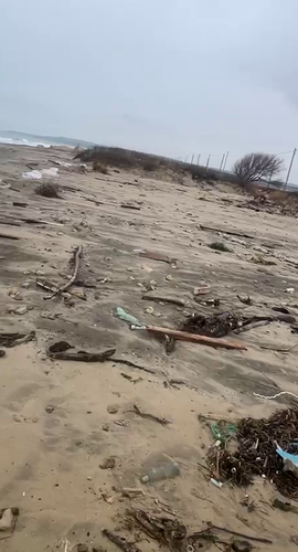 Photo of a volunteer who reported mountains of trash and plastic on the territory of the natural monument - "Solenoye Lake" in the Temryuk district. Photo: Dolphin Headquarters / Telegram channel