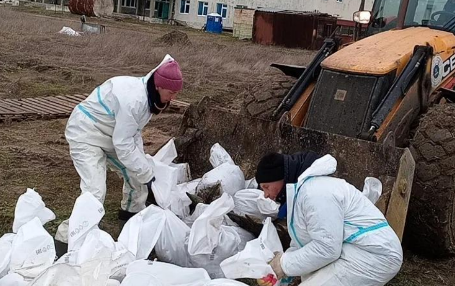 Volunteers remove bags of fuel oil near the village of Volna. Screenshot from the "Dolphins" headquarters photo from January 31, 2026, https://t.me/shtab_delfin/1954.