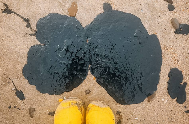 Fuel oil on the Bugayskaya Spit. Screenshot from a photo by "SSL Volunteers" from February 20, 2026, https://t.me/setisitolopata/2606.