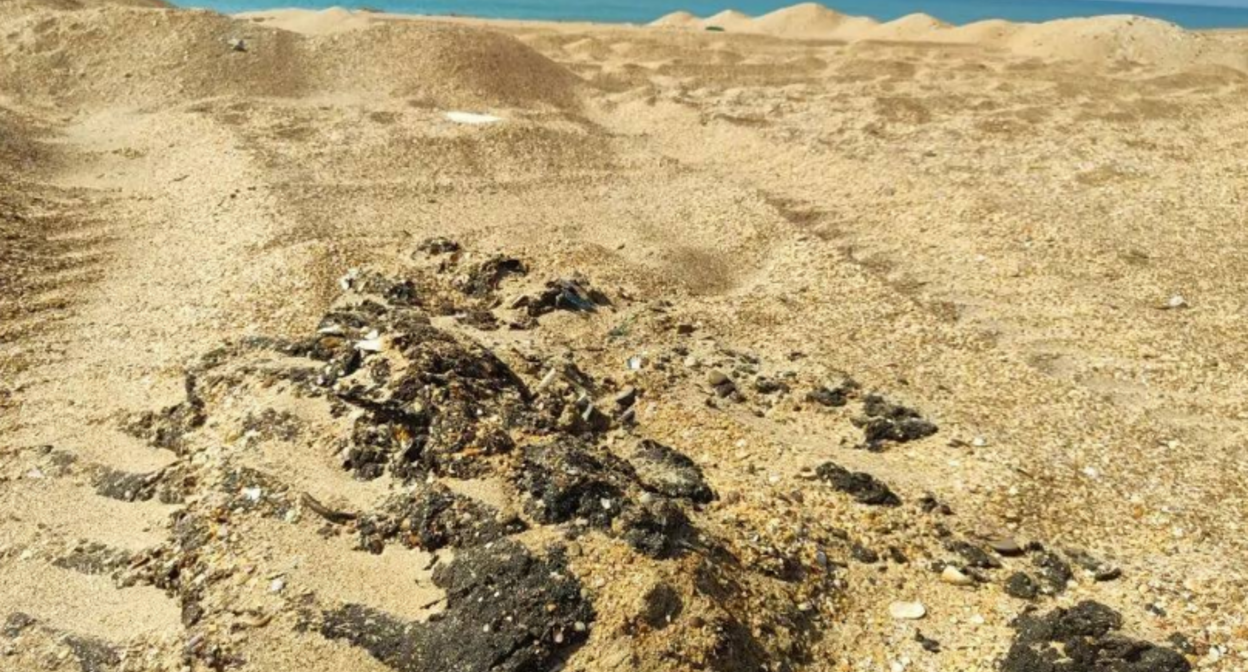 Fuel oil spills on the Bugayskaya Spit. Screenshot from the "SSL Volunteers" Telegram channel, March 18, 2026, https://t.me/setisitolopata/2726?single