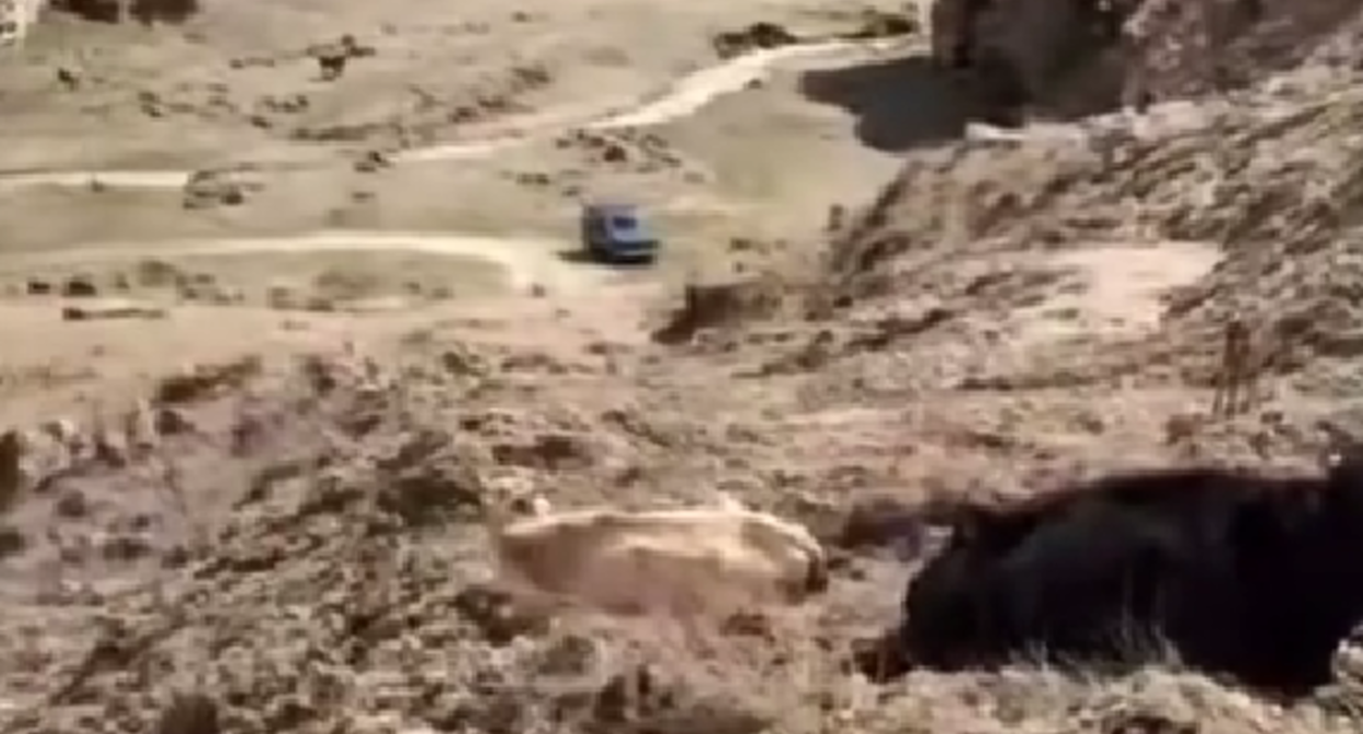 A blocked road to the village of Guimi. Still from video: https://www.instagram.com/p/DW_alk2DH5d/ (Meta, the company that owns the social network, is banned in Russia).