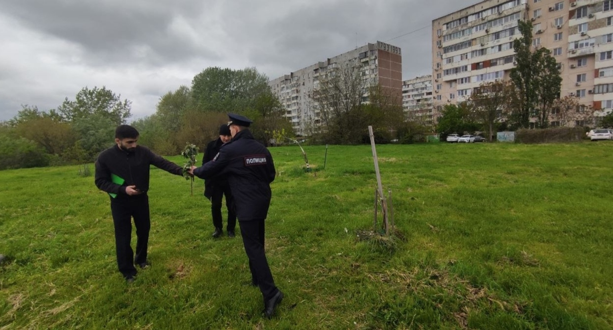 Police officers take a report of the destruction of green spaces in the Yubileiny microdistrict. Krasnodar, May 2, 2026. Photo from the "Krasnodar UMR" Telegram channel https://t.me/KrasnodarUMR/25034