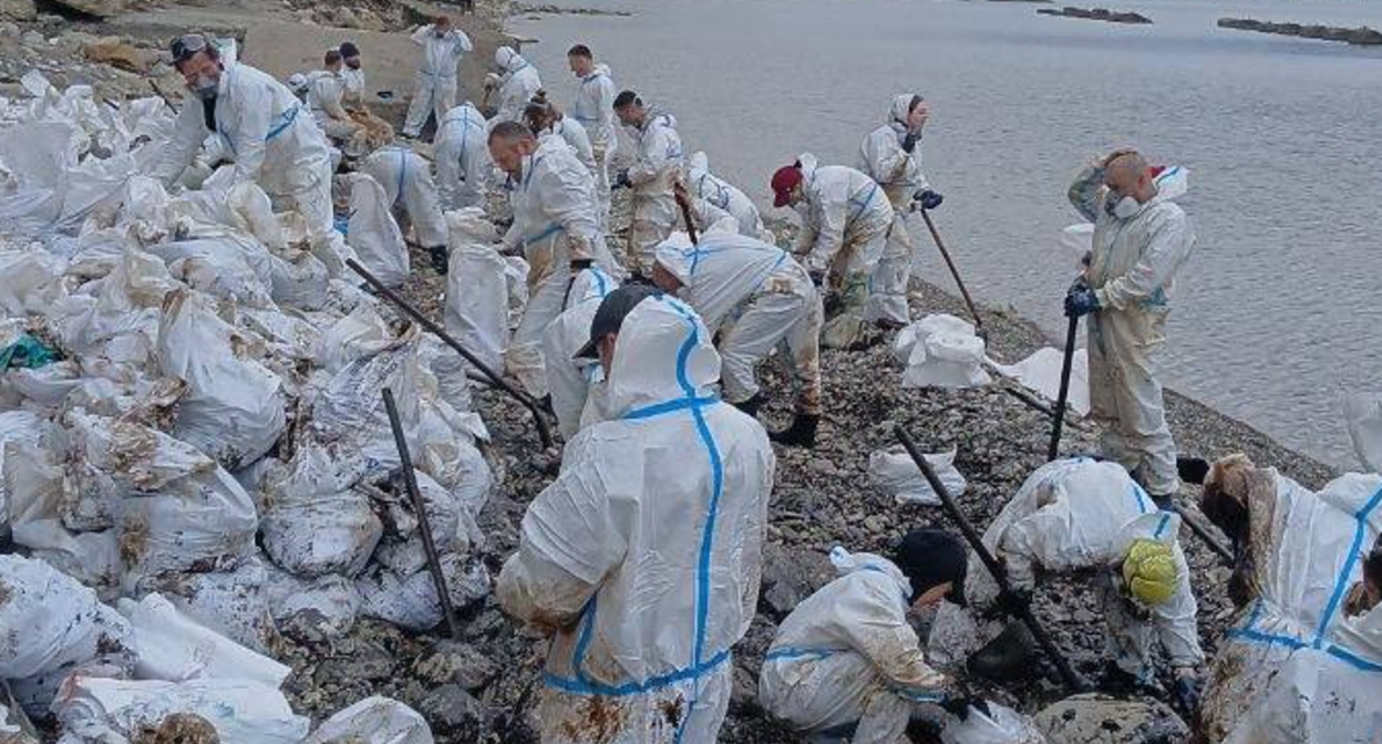 Volunteers clean the beach in Tuapse. Screenshot from the Dolphins headquarters Telegram channel, May 2, 2026, https://t.me/shtab_delfin/2580