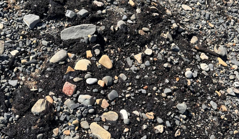 Pollution on the beach near the Elektron sports camp. https://t.me/razlivnasvyazi/1106/331235 Pollution on the beach near the Elektron sports camp. https://t.me/razlivnasvyazi/1106/331235