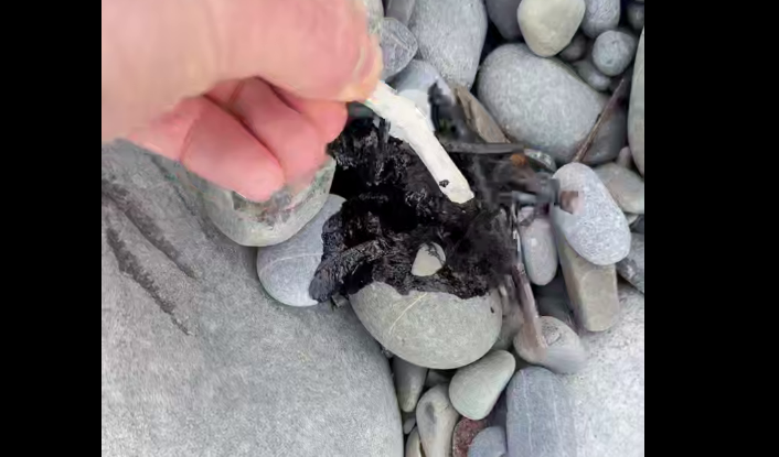 Stains on the beach in Chemitokvadzh. Video still: https://t.me/agentstvonews/15274. Stains on the beach in Chemitokvadzh. Video still: https://t.me/agentstvonews/15274.