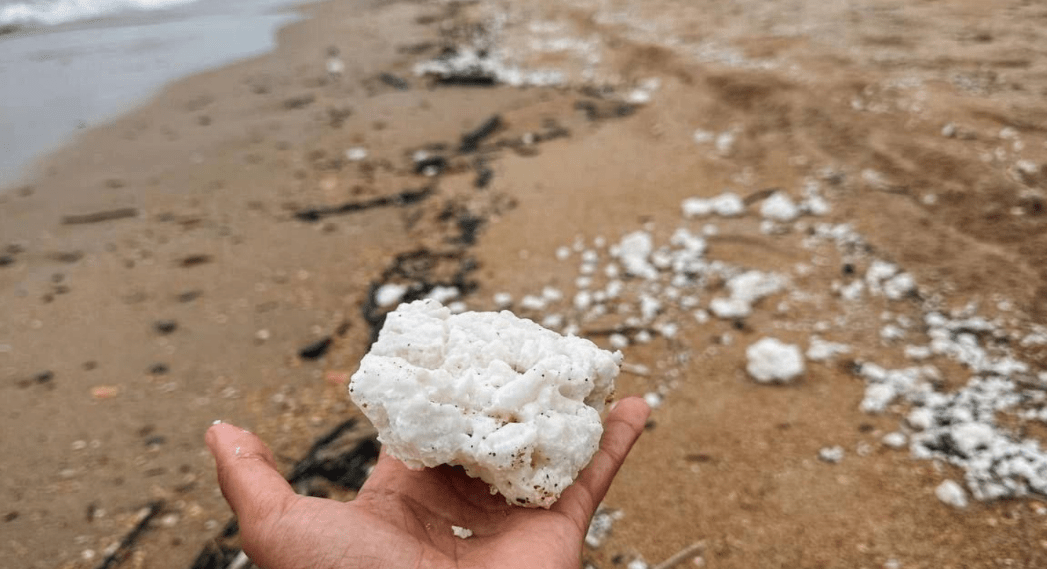 Palm oil clumps on the shore. Screenshot from Yuri Ozarovsky's Telegram channel, April 8, 2025, https://t.me/MoreOz/92874.