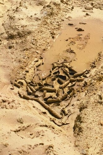 Frame: Social media users posted the state of Anapa beaches after they were filled with new sand. Photo: MAKOVOZOVY / Telegram channel