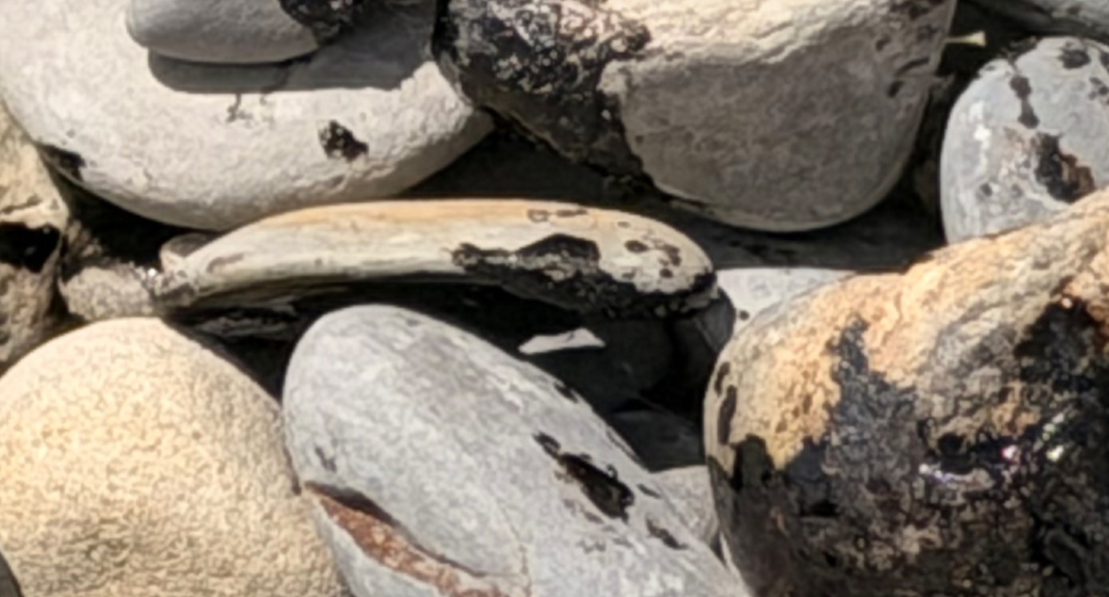 Oil stains on a wild beach. Screenshot from the Zen channel "OksanaMama to the South from the Urals" from June 20, 2026, https://dzen.ru/a/ajbW2vKiLyJZtDgd