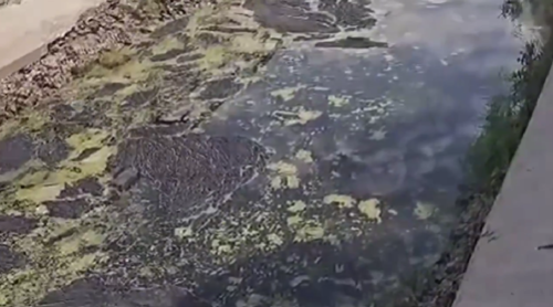 Still from a video message from Bataysk residents complaining about a polluted lake. Photo: Bloknot Rostov-on-Don / VKontakte Still from a video message from Bataysk residents complaining about a polluted lake. Photo: Bloknot Rostov-on-Don / VKontakte