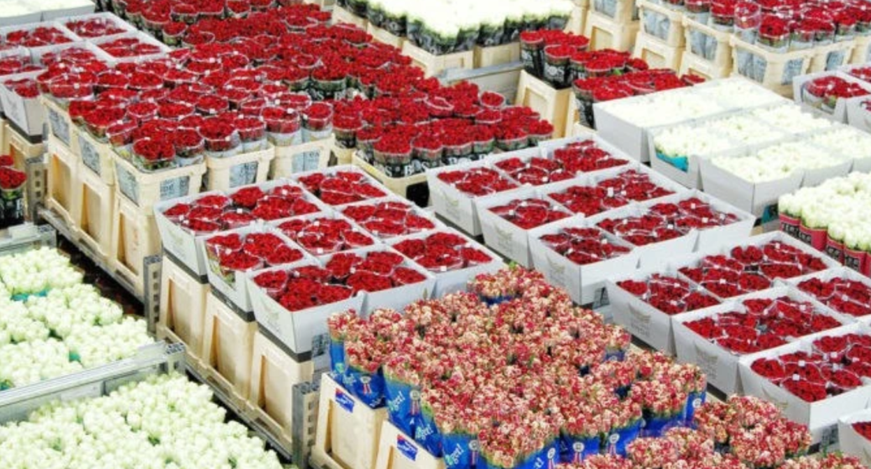 Flowers at a wholesale market. Screenshot from News.Am, June 22, 2026, https://news.am/ru/news/1045090