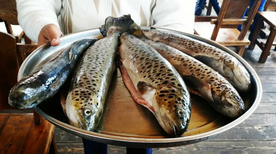 Fish. Screenshot from https://exportarmenia.am/most-popular-armenian-products/.