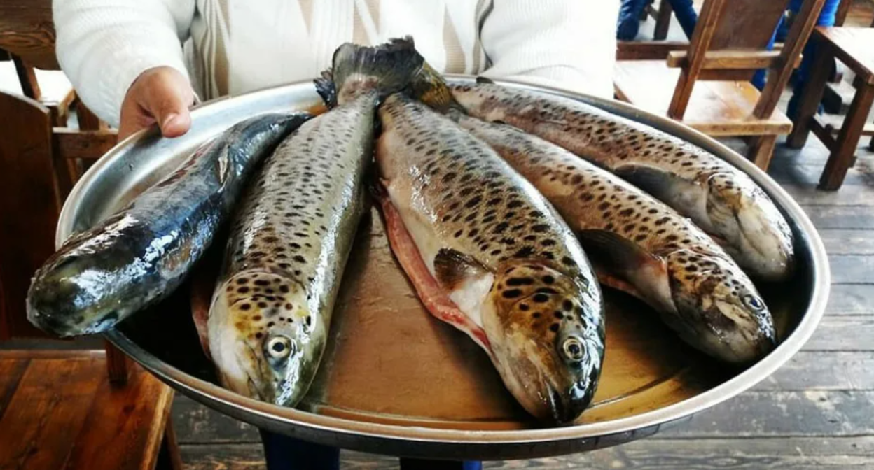 Fish. Screenshot from https://exportarmenia.am/most-popular-armenian-products/.