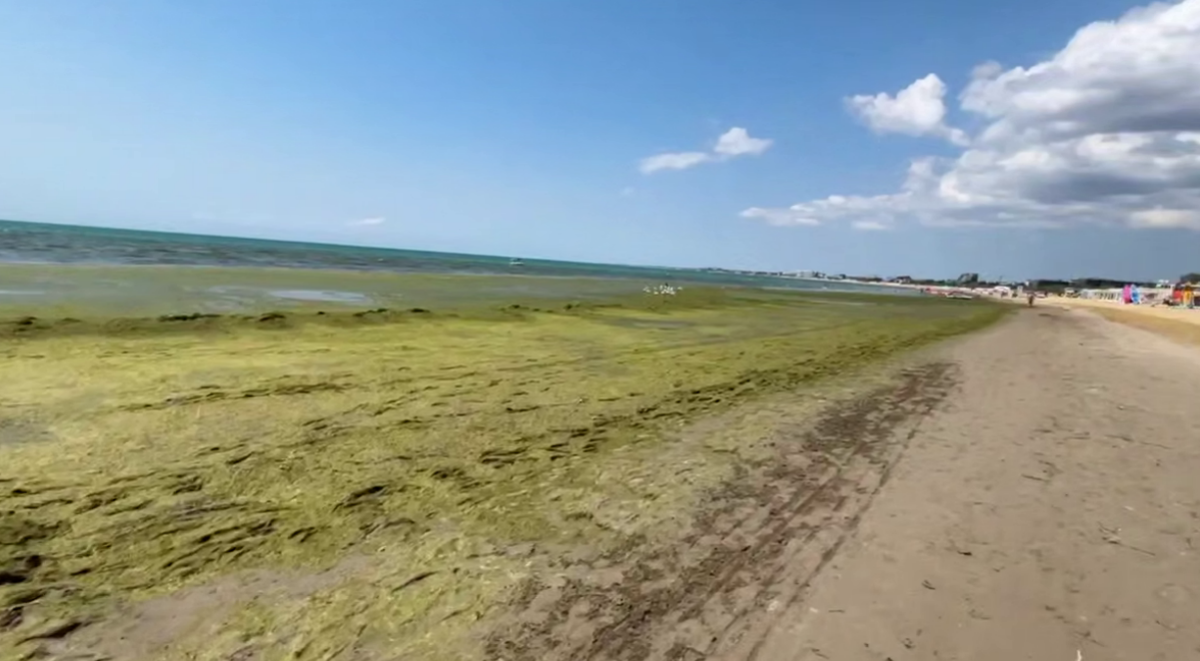 The sea by the beach near the Grand Hotel. A still from Yuri Ozarovsky's video from 08.07.26, https://t.me/MoreOz/128338.