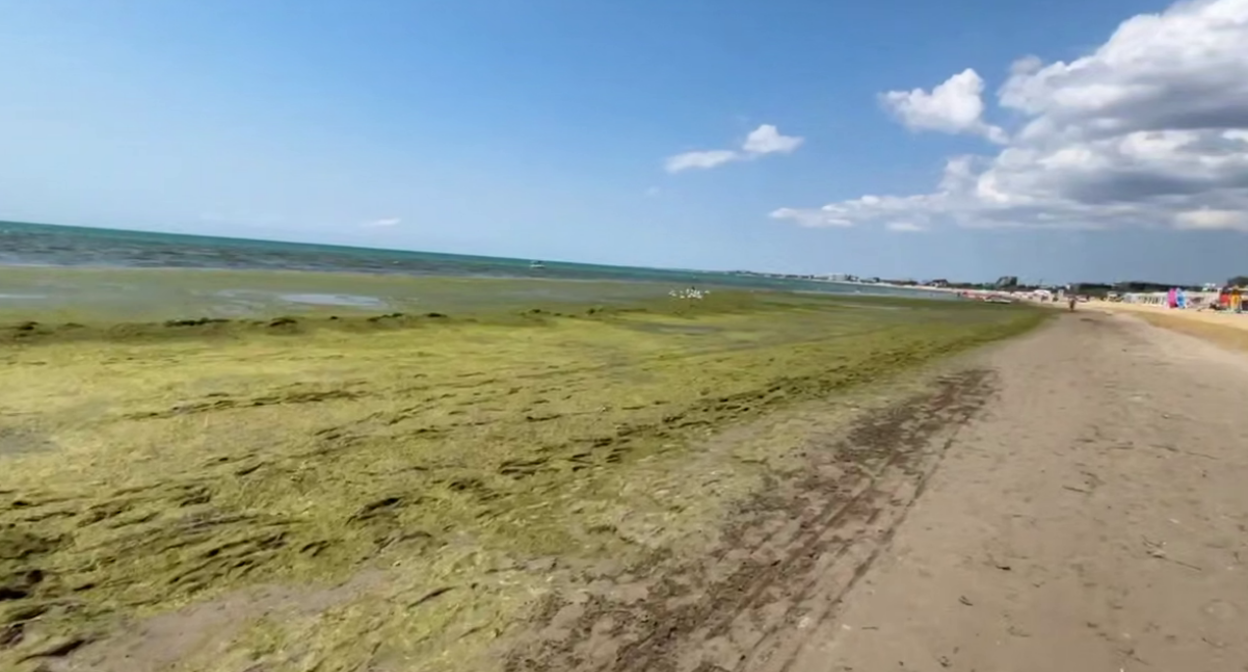 The sea by the beach near the Grand Hotel. A still from Yuri Ozarovsky's video from 08.07.26, https://t.me/MoreOz/128338. The sea by the beach near the Grand Hotel. A still from Yuri Ozarovsky's video from 08.07.26, https://t.me/MoreOz/128338.