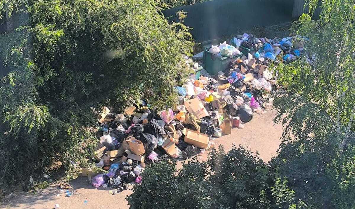 A dump under the windows of an apartment building. Photo provided to "Caucasian Knot" by local residents. A dump under the windows of an apartment building. Photo provided to "Caucasian Knot" by local residents.