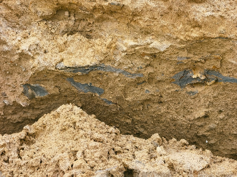 The condition of the sand on the beach in Anapa. Screenshot from the Telegram channel "Makovozovy" dated 26.07.26, https://t.me/makovozovy/65144. The condition of the sand on the beach in Anapa. Screenshot from the Telegram channel "Makovozovy" dated 26.07.26, https://t.me/makovozovy/65144.