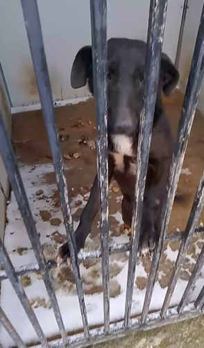 Frame from the Derbent shelter video. Photo: derbent.ecolife / Instagram Frame from the Derbent shelter video. Photo: derbent.ecolife / Instagram