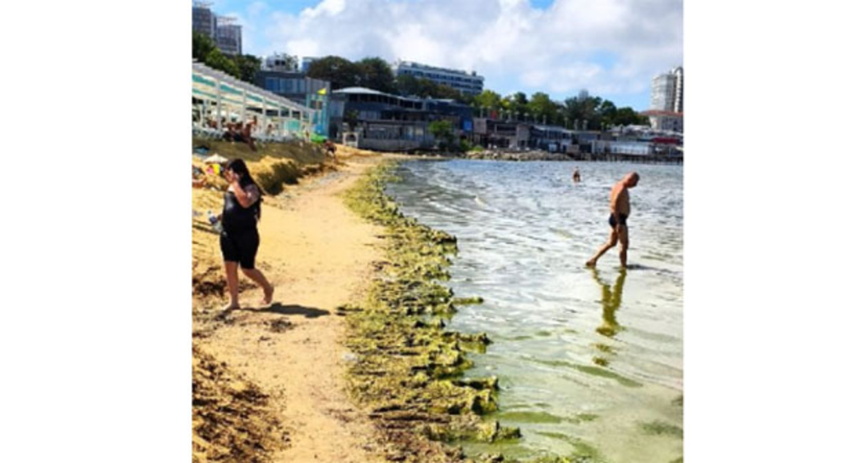 Beach in Anapa. August 20, 2026. Photo: https://t.me/makovozovy/66614 Beach in Anapa. August 20, 2026. Photo: https://t.me/makovozovy/66614