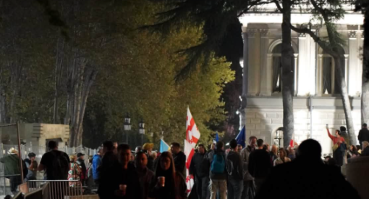Participants of the action in Tbilisi. Screenshot of a photo by Mo Se from 11.10.26, https://www.facebook.com/photo.php?fbid=4463385567309514&set=pb.100009143454391.-2207520000&type=3 (the activities of the company Meta, which owns the social network, are banned in Russia).