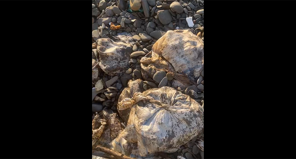 Bags of oil on the beach in Myskhako. Frame from the video https://t.me/evitishko/2707 Bags of oil on the beach in Myskhako. Frame from the video https://t.me/evitishko/2707