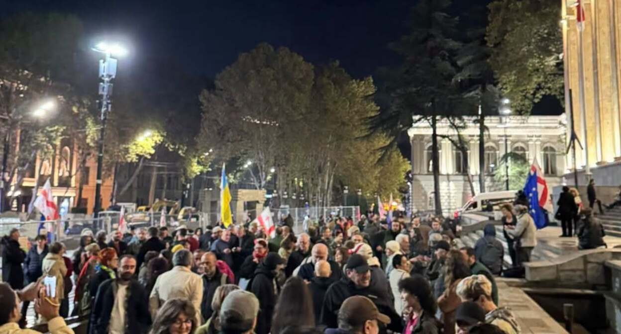 Participants of the protest action in front of the Parliament of Georgia. Photo: Photo: Giorgi Mumladze / Facebook*