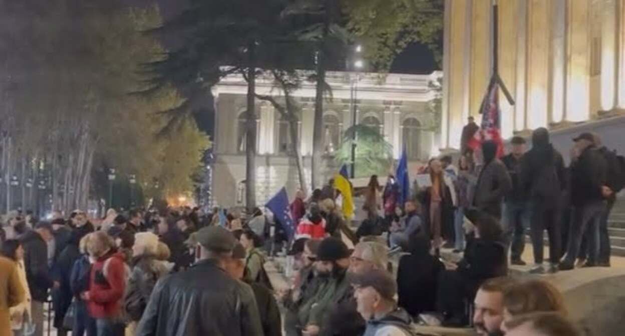 Demonstrators outside the Parliament of Georgia. Photo: Giorgi Mumladze